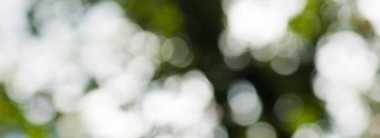 güzel doğal arka plan.