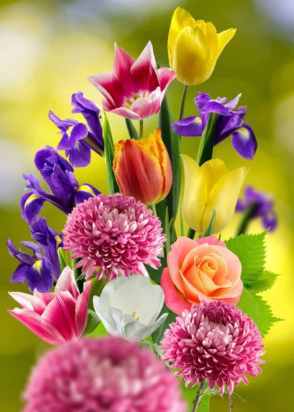 Krásná kytice různých květin na rozostřeného pozadí — Stock fotografie