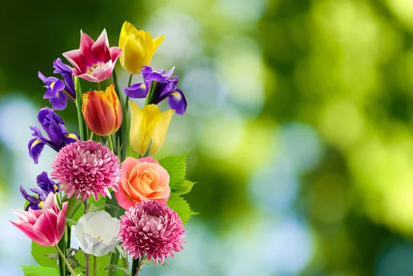 Красивий букет з різних квітів на розмитому тлі — стокове фото