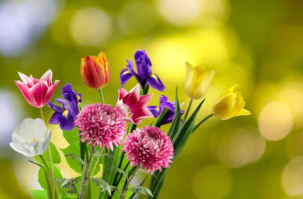 Hermoso ramo de flores diferentes sobre un fondo borroso —  Fotos de Stock