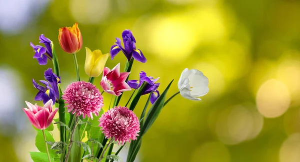 Piękny bukiet z różnych kwiatów na niewyraźne tło — Zdjęcie stockowe