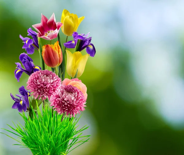 Piękny bukiet z różnych kwiatów na niewyraźne tło — Zdjęcie stockowe