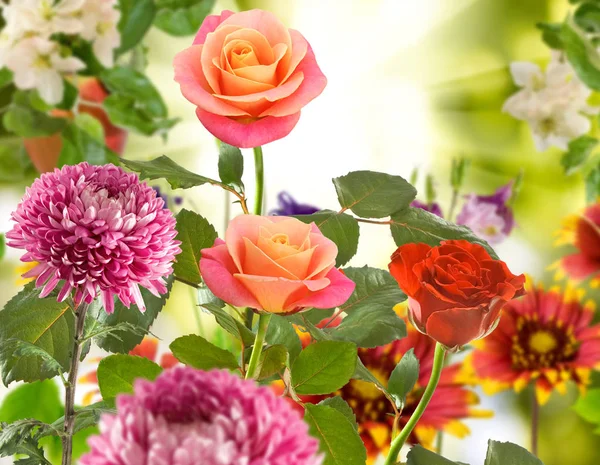 Boeket van verschillende bloemen op een onscherpe achtergrond — Stockfoto