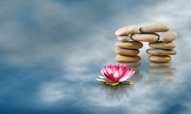 Taşlar ve lotus çiçeği içinde su yakın çekim görüntüsü