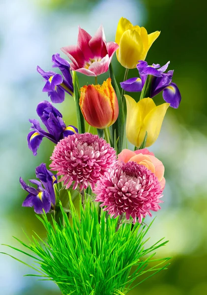 Mooi boeket van verschillende bloemen op een onscherpe achtergrond, — Stockfoto