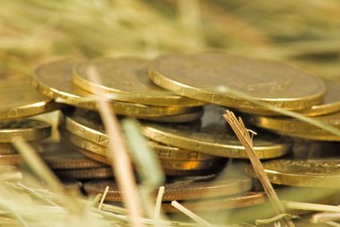 Sikke para saman portre resim