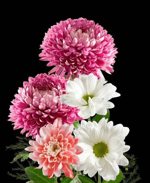 Obrázek z mnoha krásných květin na černém pozadí — Stock fotografie