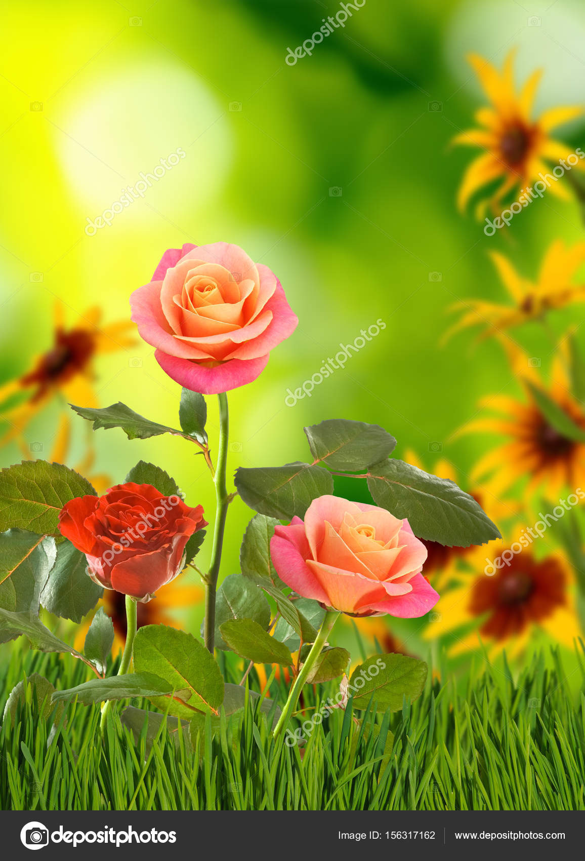 Super Afbeelding van de mooie bloemen in de tuin close-up — Stockfoto BQ-71