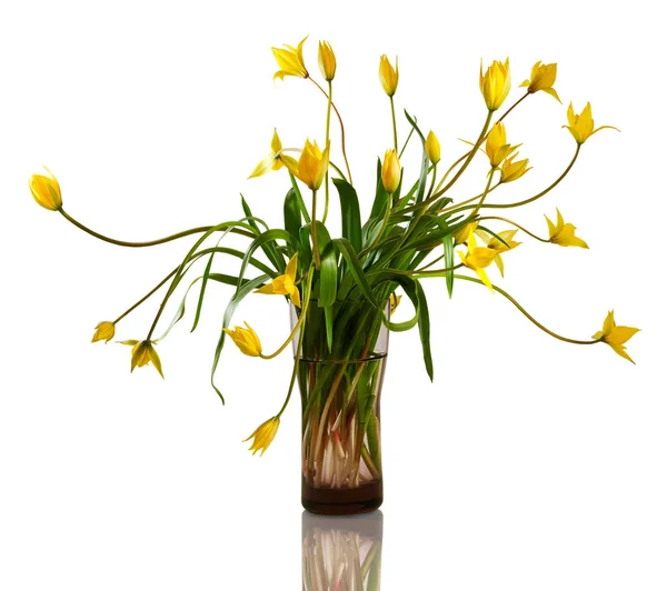 美丽的黄色花朵花瓶里 — 图库照片