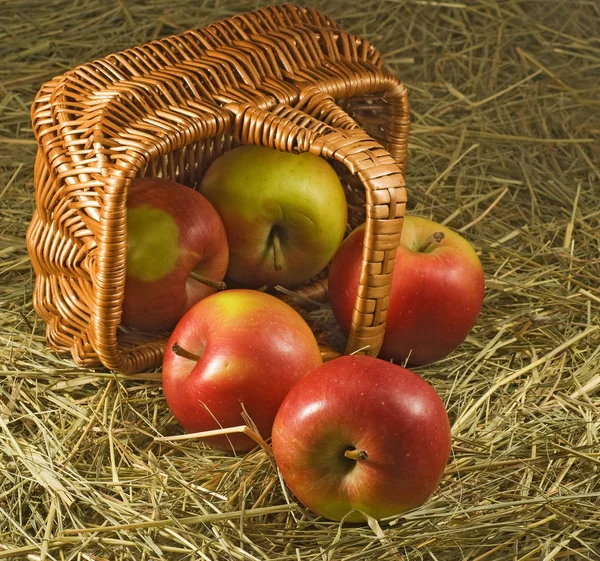 Geïsoleerd beeld van rijpe appels in de mand-closeup — Stockfoto