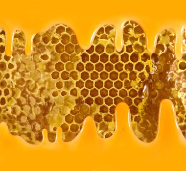 Peteğin ve bal yakın çekim görüntüsü