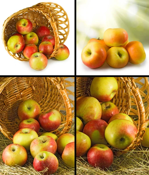 Образ яблок в корзине крупным планом — стоковое фото