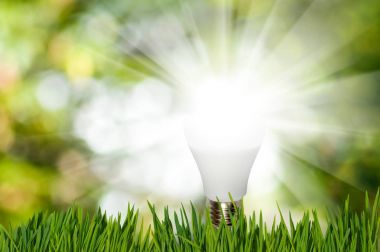 ampul arka planı yeşil yakın-up üzerinde