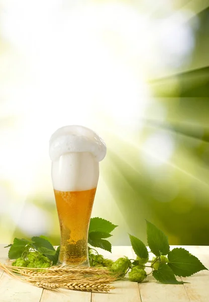 Mok met bier en hop close-up — Stockfoto