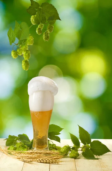 Tasse avec bière et houblon fermer — Photo