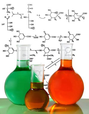 Şişeler karşı kimyasal formüller arka plan yakın çekim