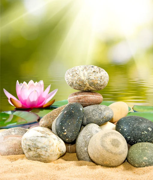 Immagine di pietre e fiori di loto sull'acqua primo piano, — Foto Stock