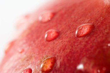 Olgun nar görüntüsünü kapat