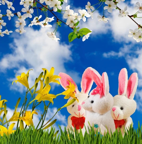 Imagem de flores e lebres de brinquedo close-up — Fotografia de Stock