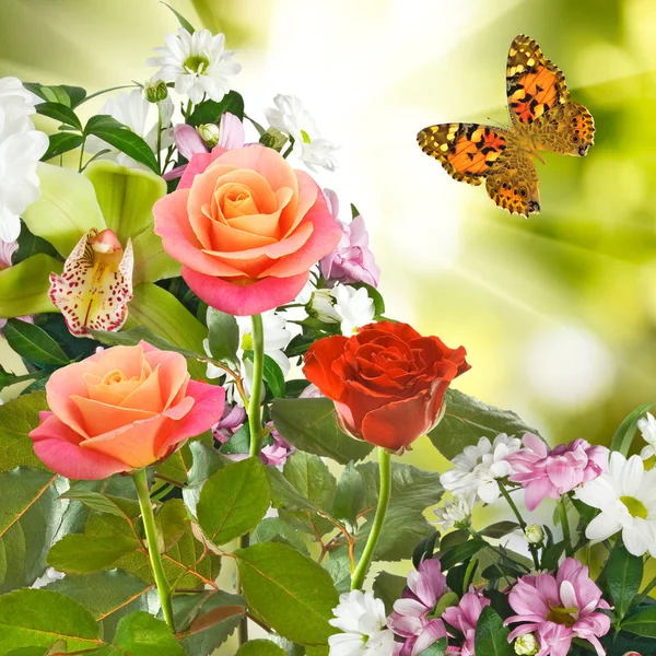 아름 다운 꽃 정원 근접 촬영에 — 스톡 사진