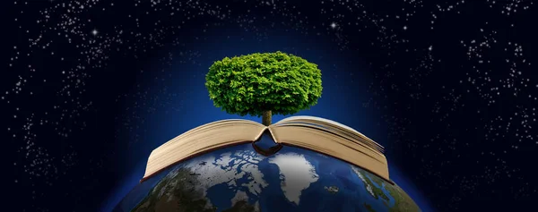 Imagem estilizada de livro e árvore no planeta de perto — Fotografia de Stock