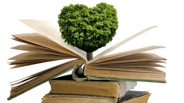 Изображение дерева в виде сердца на книгах — стоковое фото