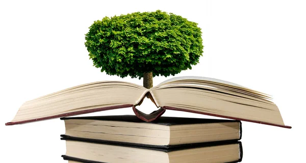 Image de l'arbre en forme de cœur sur les livres — Photo