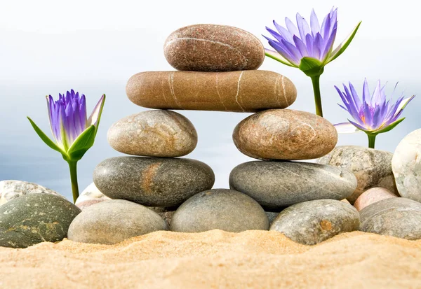 로터스 꽃과 물 배경에 모래에 돌 — 스톡 사진
