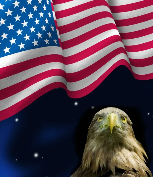 Sas madár és amerikai zászló — Stock Fotó