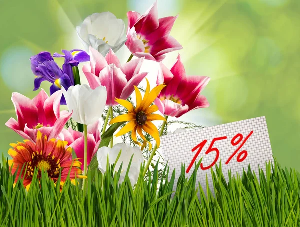 Sleva na prodej, sleva 15 %, krásné květiny tulipány v trávě detail — Stock fotografie