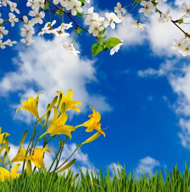 güzel çiçek Bahçe portre resim