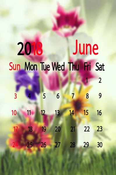 Piękne kwiaty w ogrodzie, na tle kalendarz, — Zdjęcie stockowe