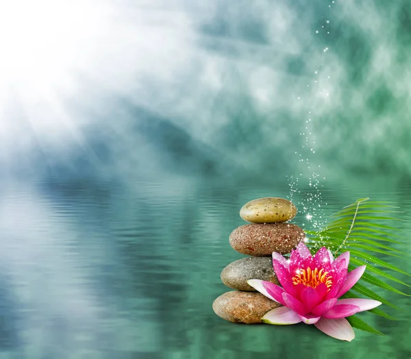 Lotus flower on water background — Stock Photo, Image