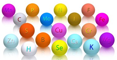 İnsan sağlığı için gerekli mikro besinler ve makro besinler.