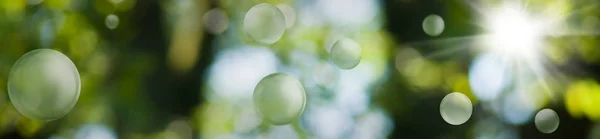 Verde estilizado bolas en un hermoso abstracto borrosa natural bac — Foto de Stock