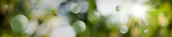 Bolas estilizadas verdes em um belo abstrato desfocado bac natural — Fotografia de Stock