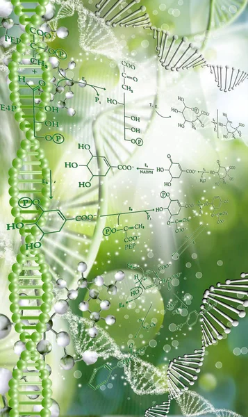 Cadeia de DNA em um fundo desfocado com fórmulas químicas . — Fotografia de Stock