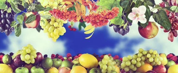 Afbeelding Van Een Heleboel Fruit Close Toned Afbeelding — Stockfoto