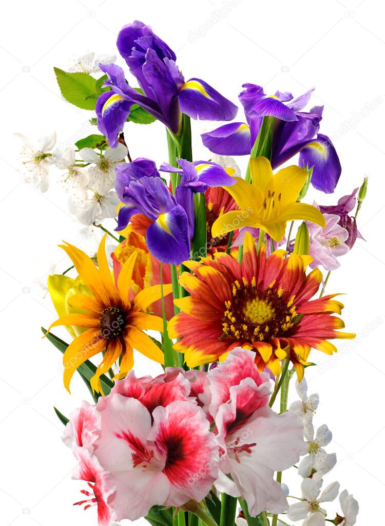 isolated image of bouquet of flowers on white background
