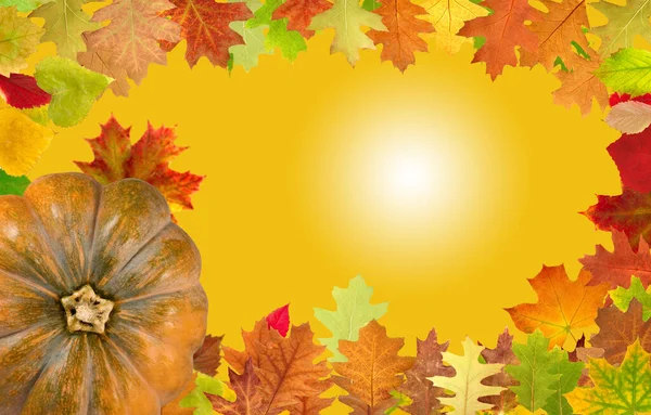 秋の葉のフレームと黄色の背景にカボチャ — ストック写真