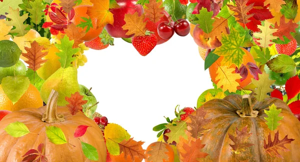 Calabazas Sobre Fondo Blanco Marco Forma Corazón Hojas Otoño — Foto de Stock