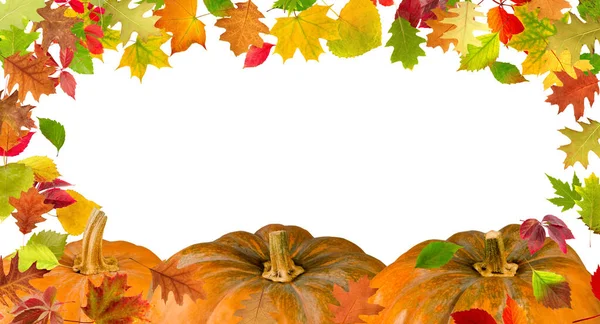 秋の葉のフレームを持つカボチャ — ストック写真