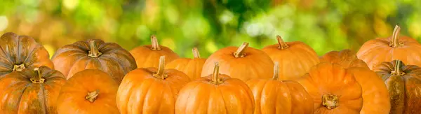 Image of pumpkins on green background — Stock Photo, Image