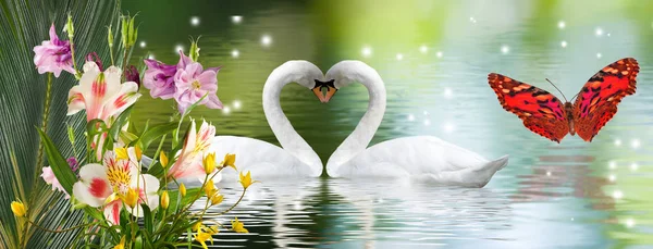 水面上美丽的花朵和天鹅的形象 — 图库照片
