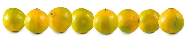 Isolated image of orange — Stock Photo, Image