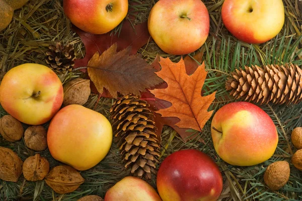 Гарбуз, яблука і волоські горіхи крупним планом — стокове фото