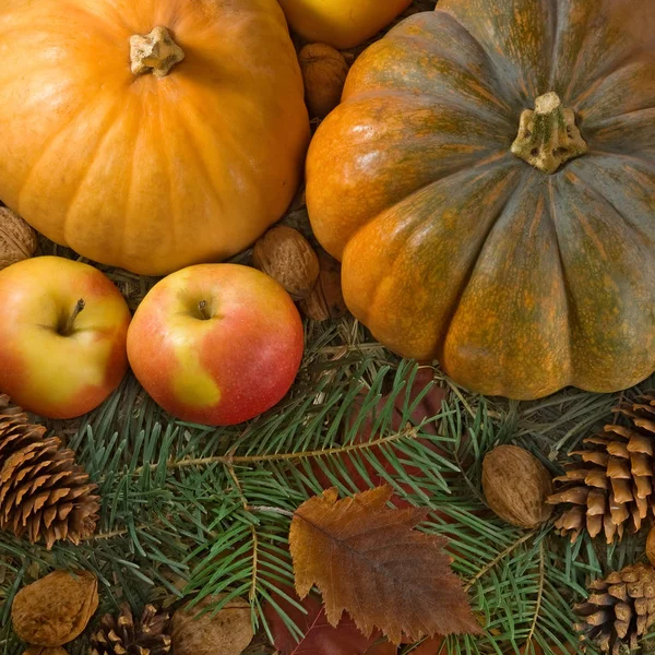 Immagine Primo Piano Zucca Mele Noci — Foto Stock