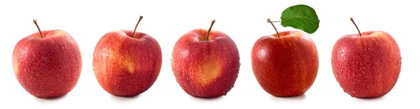 Nahaufnahme Isoliertes Bild Von Äpfeln Auf Weißem Hintergrund — Stockfoto