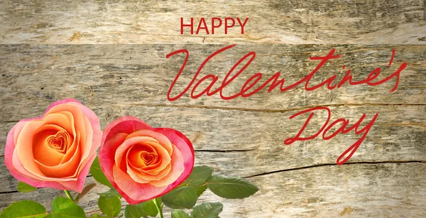 Šťastný Valentýn Krásnou Červenou Růží Květiny Přes Rustikální Dřevo Pozadí — Stock fotografie