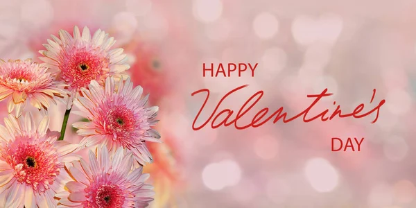 Glad Alla Hjärtans Dag Med Vackra Festliga Blommor Färgglada Bakgrund — Stockfoto